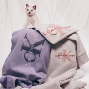 coupon-pic