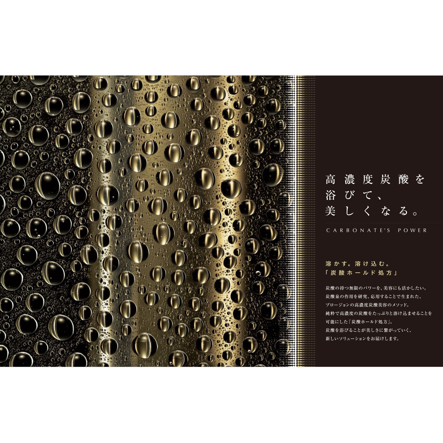 専用炭酸ガスカートリッジ ハンディ用 2本入り PL-HG2