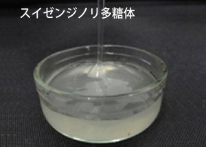 咲水 スキンケア ローションA 150ml スイゼンジノリ サクラン ( リバテープ製薬 公式 ) 新商品