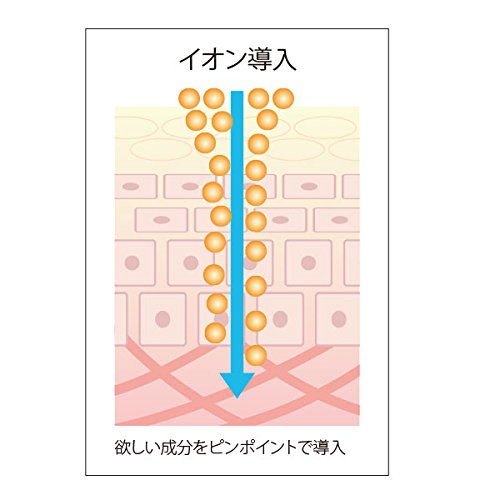 プロズビ プライム イオンエッセンス 高濃度 セラミド 60ml 美容液 業務用