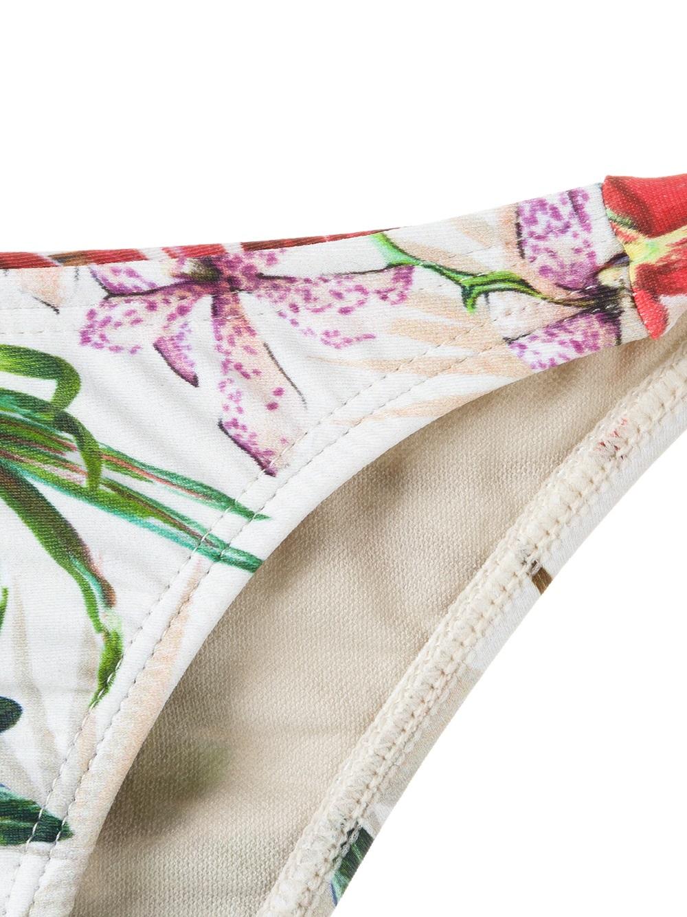 printed bikini briefs