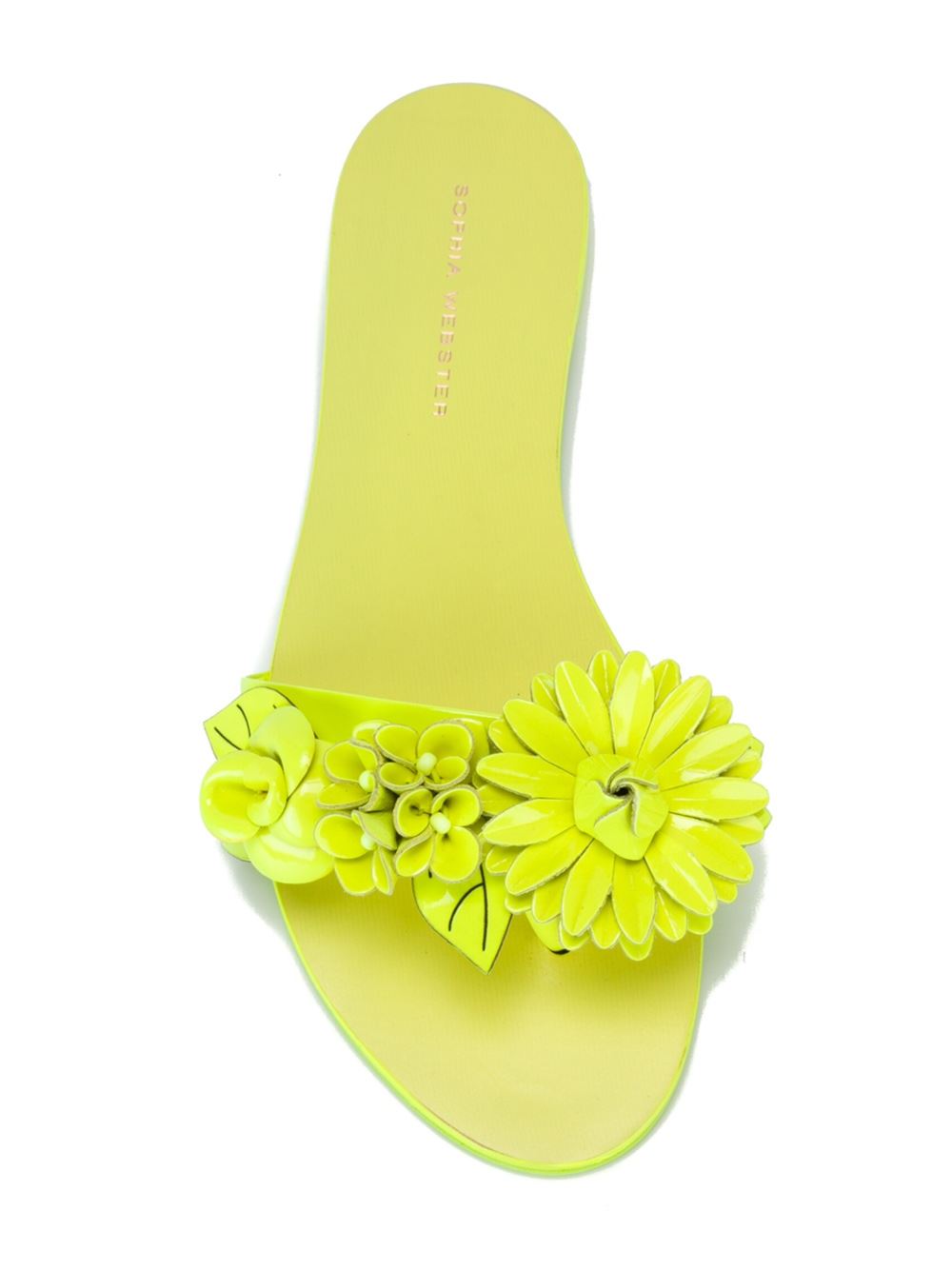 'Lilico' sliders