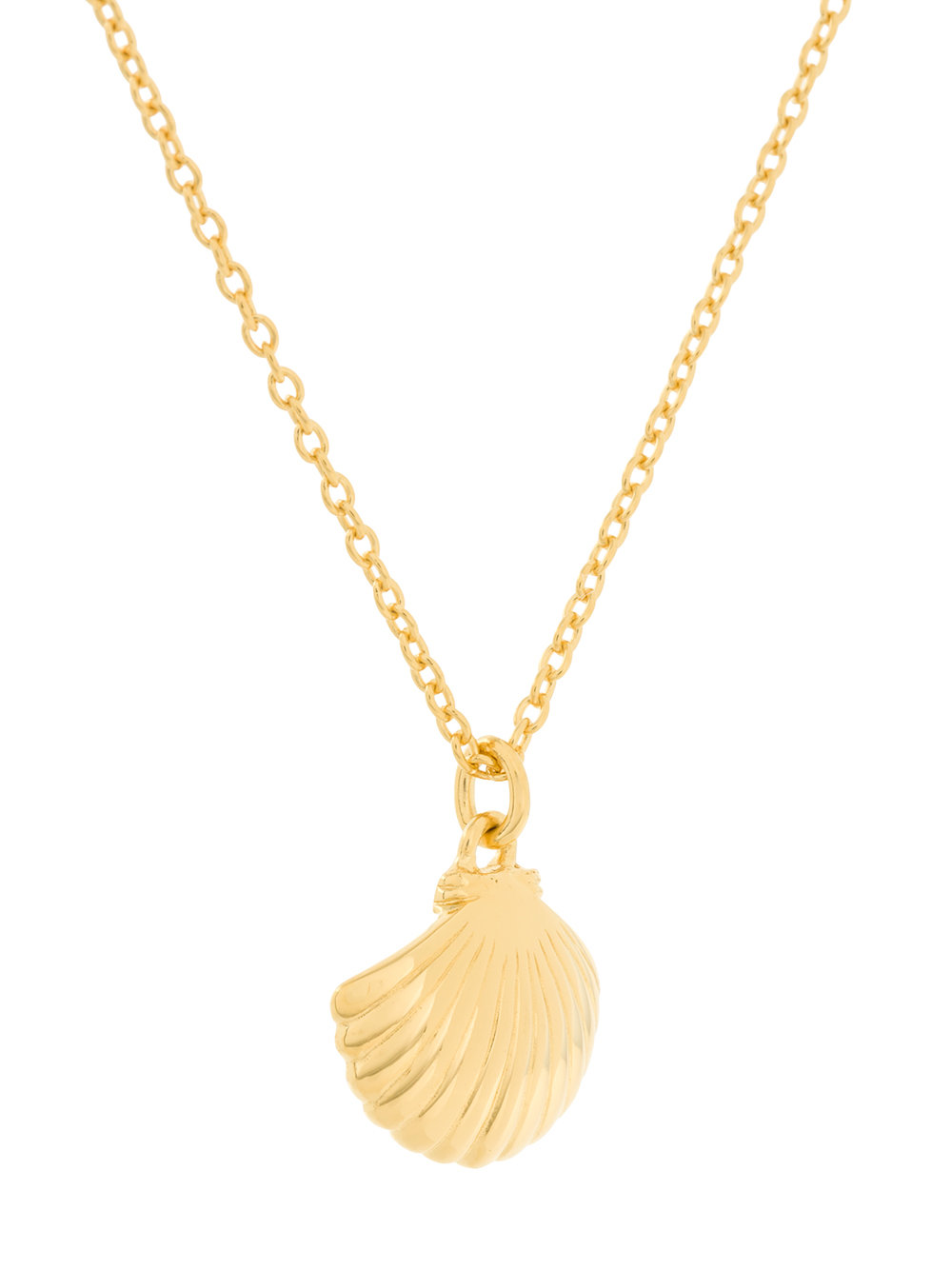 'Mini Shell Biography' pendant