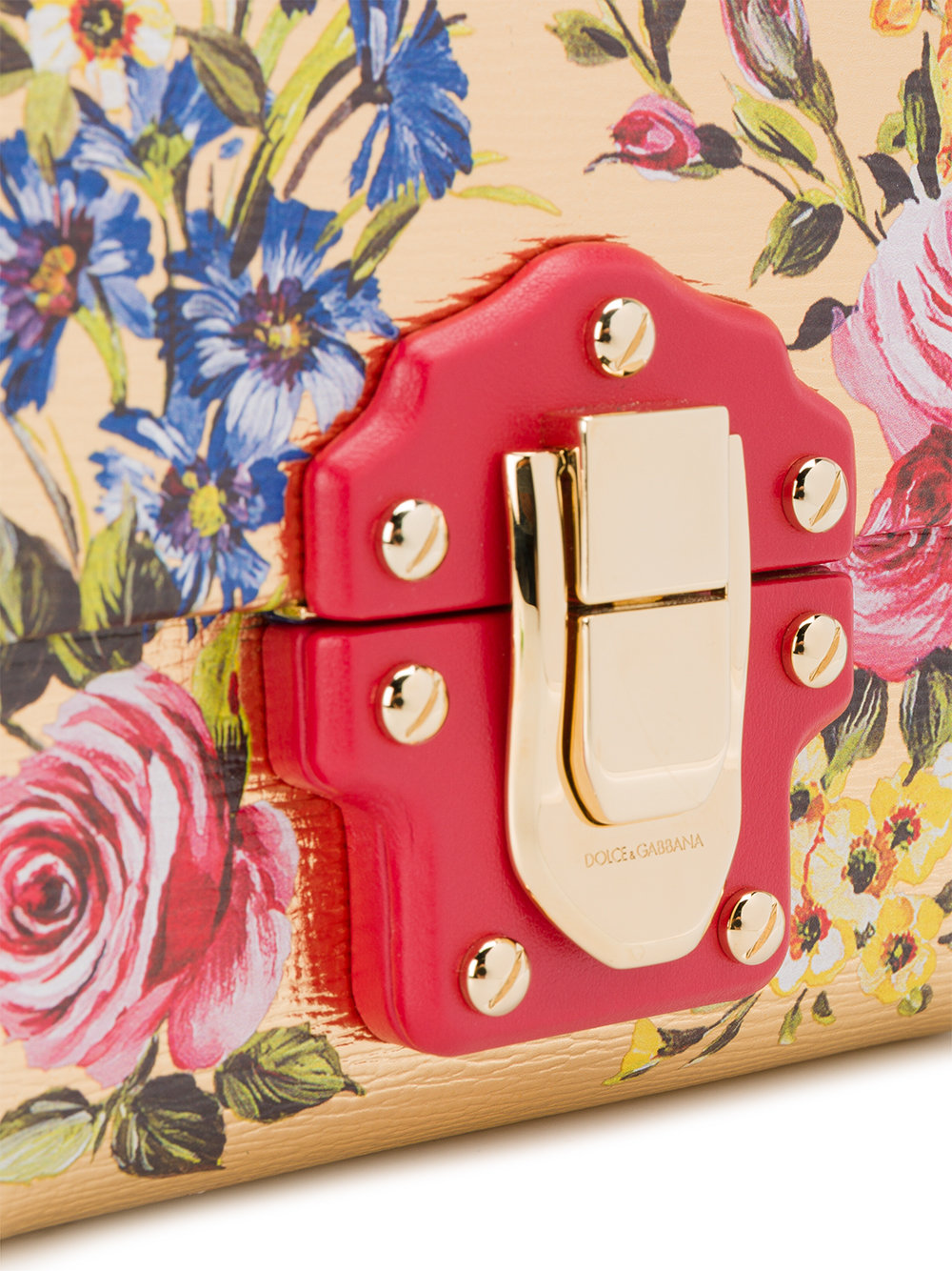 rose painted mini Lucia bag