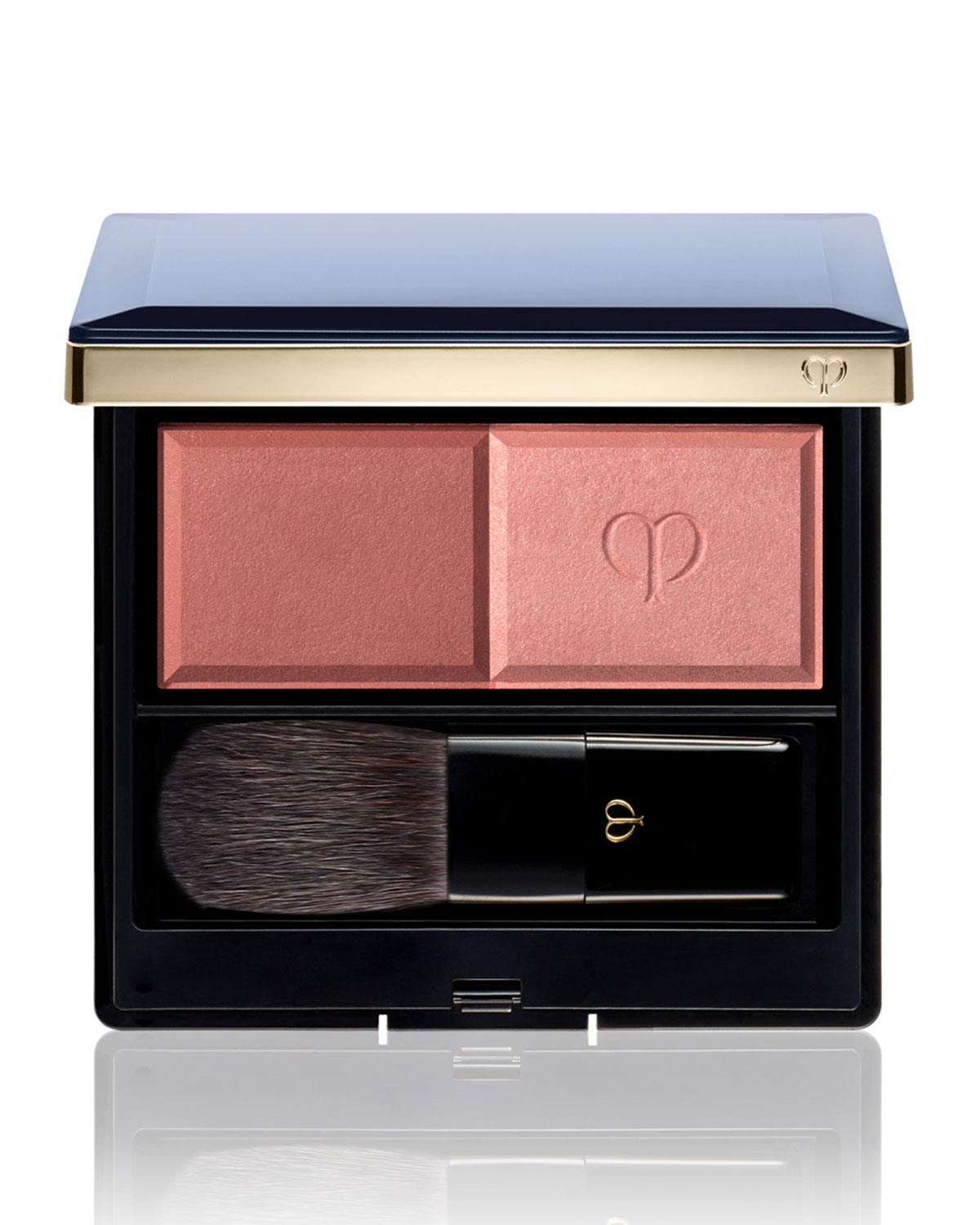 Powder Blush Case & Brush