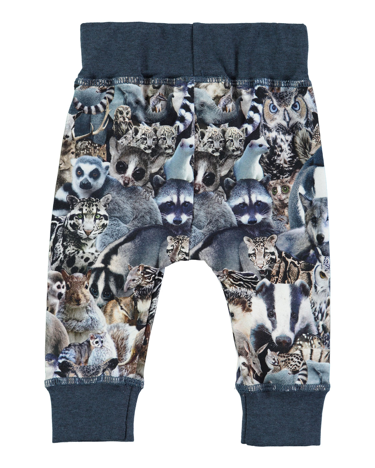 Sammy Animal Collage Track Pants, Blue, Size 12-24 Months