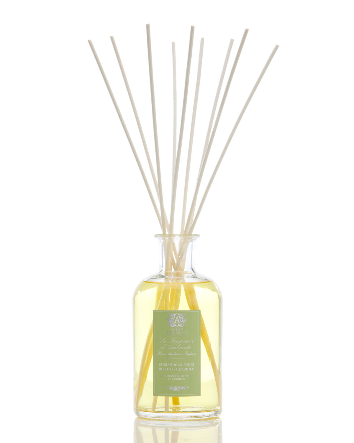 Coriander Cucumber Diffuser, 500ml