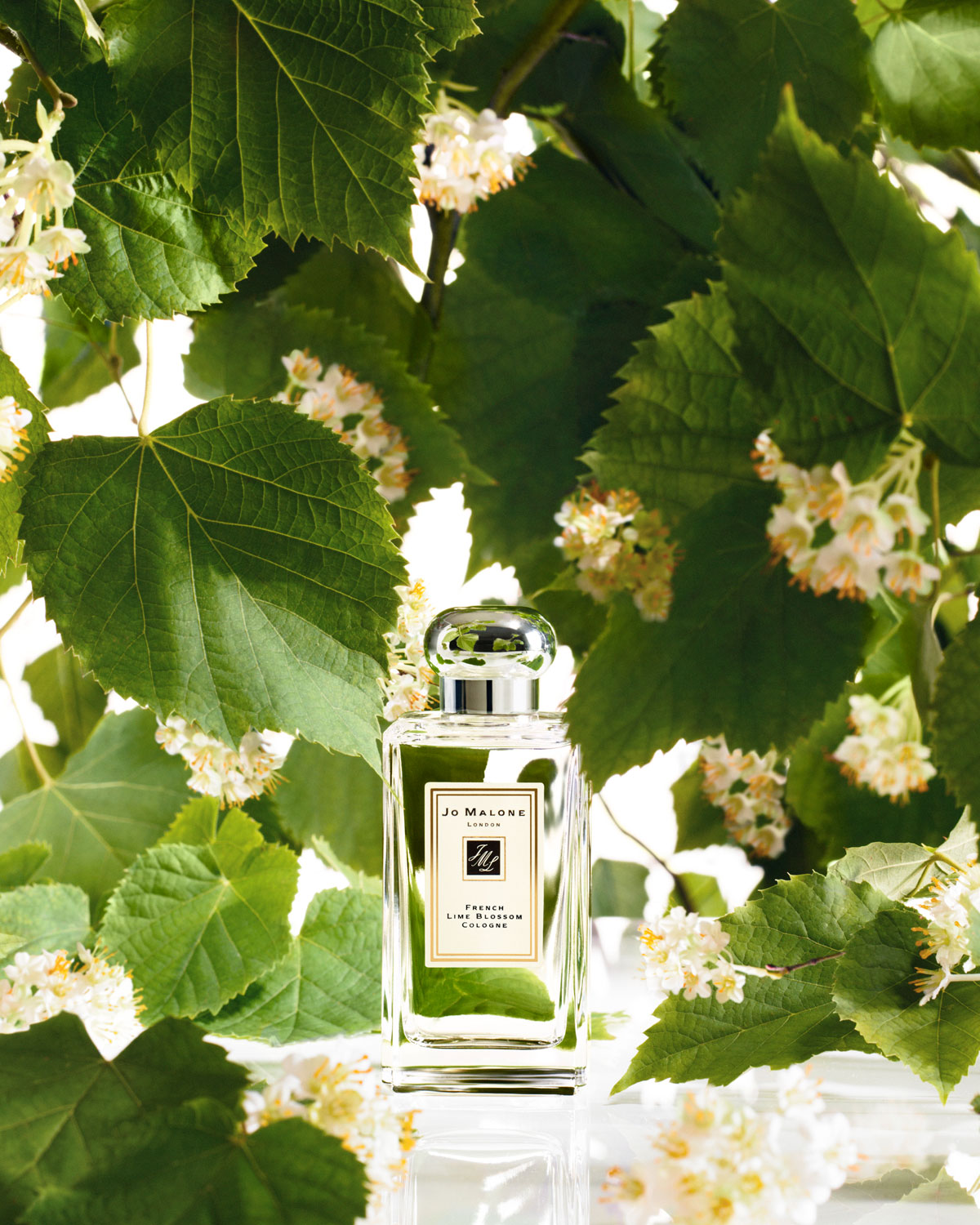 Malone lime blossom. Джо Малон френч лайм блоссом. Духи джомалоне аромат лайм. Jo Malone French Lime Blossom Cologne 100 ml.